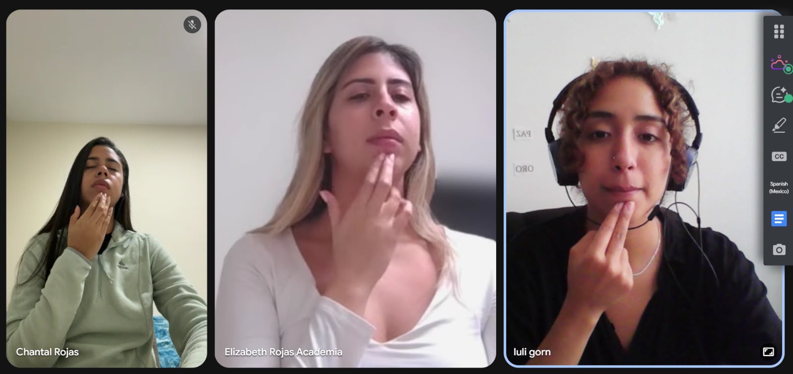 Videollamada de gestión emocional facilitada por Lourdes con dos CEOs